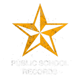 Public School Records